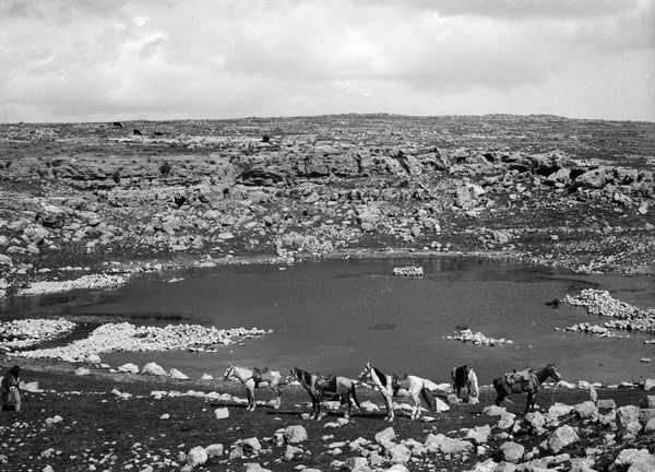 Photograph of the Al-Karmil village