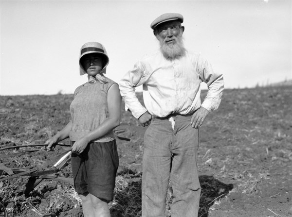 Photograph of Agricultural Colony in the Jerzreel Valley