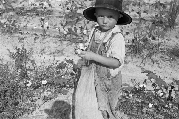 Arthur Rothstein photograph of the son of a cotton sharecropper