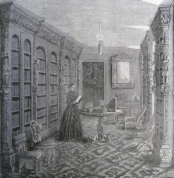 Illustration of a wealthy woman reading a book in her library