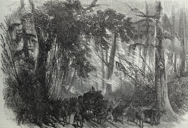 Engraving of a forest fire in Detroit (Michigan State) in America