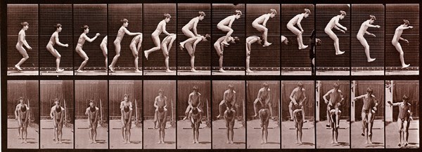 Animal Locomotion photograph by Eadweard Muybridge, 1887