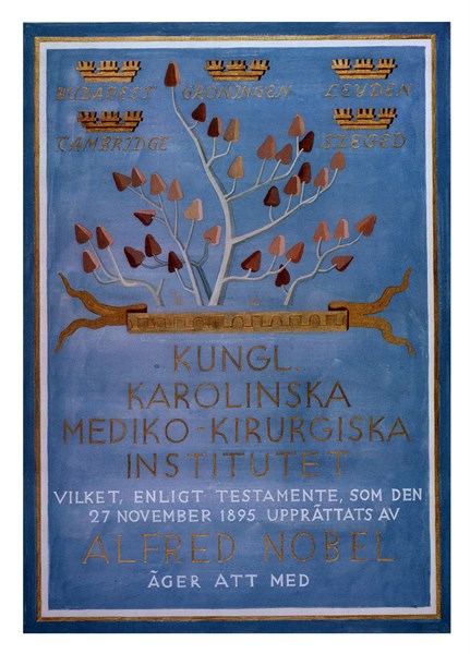 Colour photograph of Albert Szent-Gyorgyi's Nobel Prize Diploma
