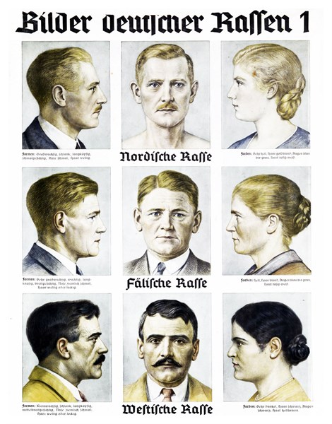 Nazi Party 'German Race' Wall chart