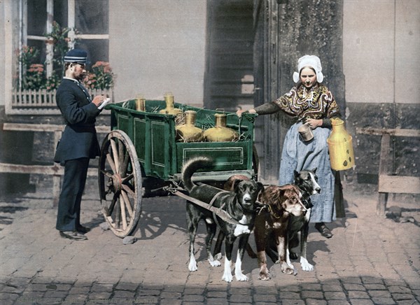 Flemish milk peddler standing next to her cart
