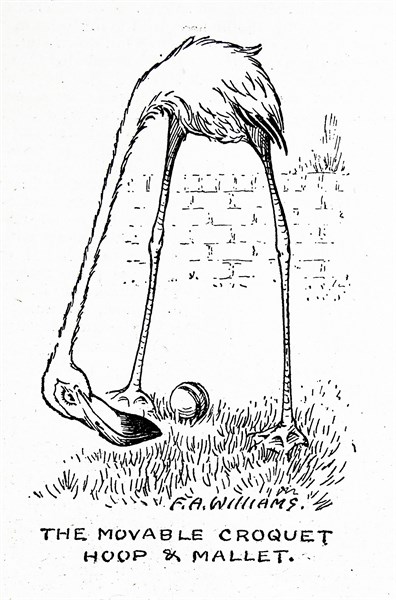 illustrations depicting a pelican 1900