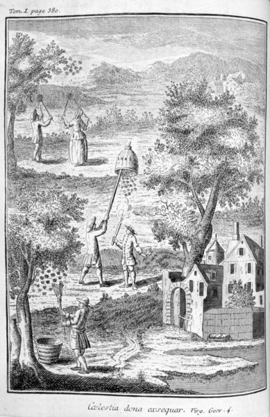 Apiculture