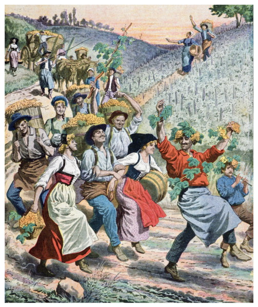 Illustration showing the wine festival and grape harvest in Alsace France 1911