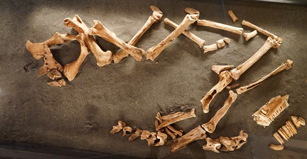 Grave site of an Icelandic man and his horse