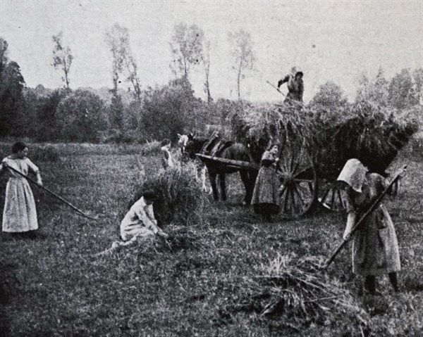 Photograph of female farm hands in Mosson, a commune in the Côte-d'Or department in eastern France