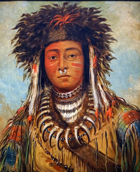 Portrait of the Boy Chief-Ojibbeway by George Catlin