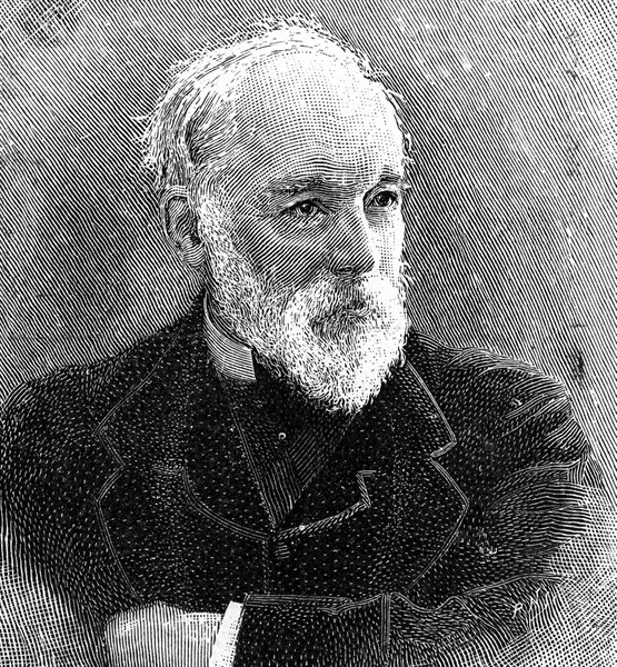 Portrait of a pensive man with beard