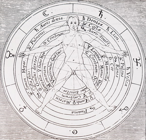 The organs of the body and the planets influences on them by Robert Fludd