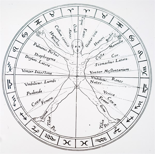 The organs of the body and the zodiacal influences on them by Robert Fludd