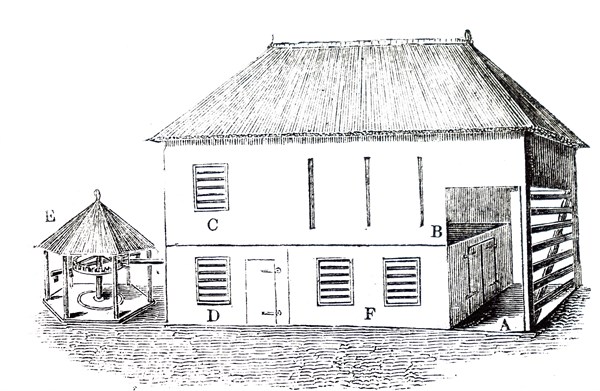 A barn and threshing floor