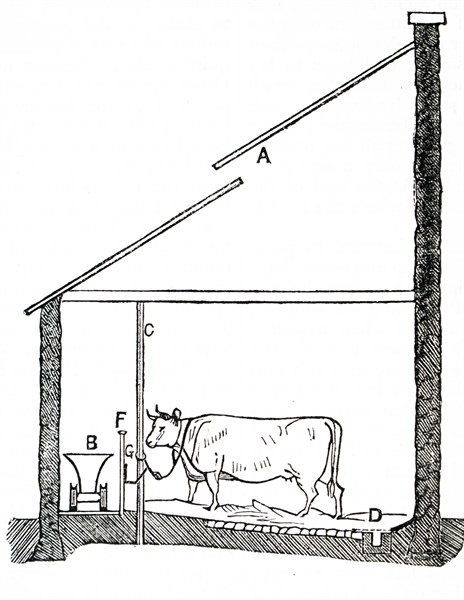 A diagram of a cow house in England