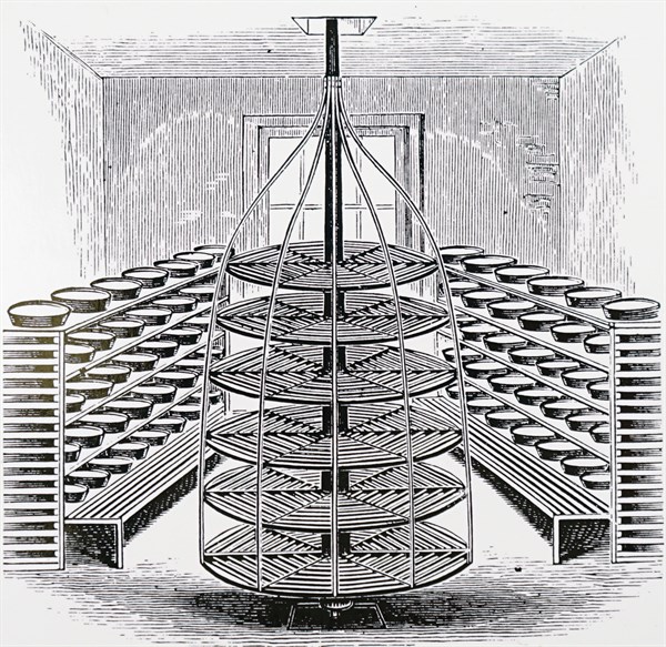 The revolving milk shelves for a butter dairy