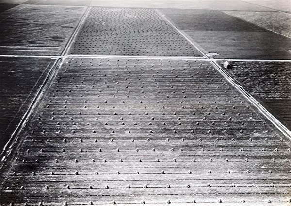 Photograph taken of farming fields in the Netherlands