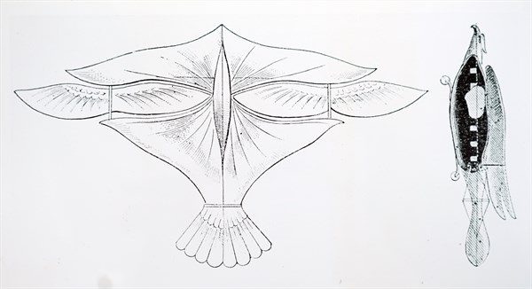A bird-shaped flying machine