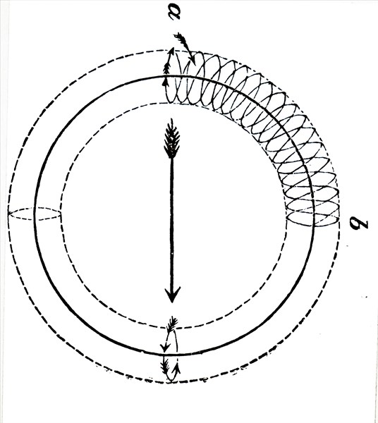 The studying of vortex rings