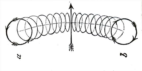 The studying of vortex rings