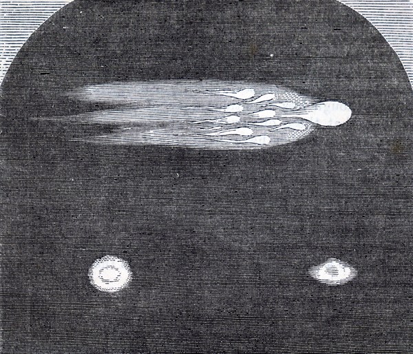 A meteor flying over England