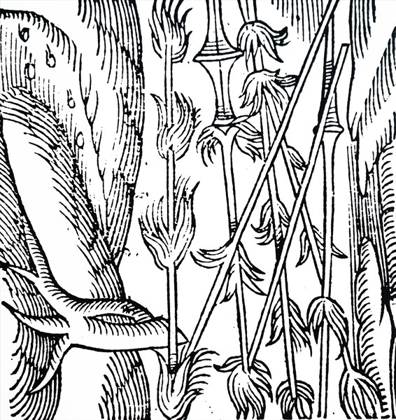 An ancient meteor shower shown as fiery lances