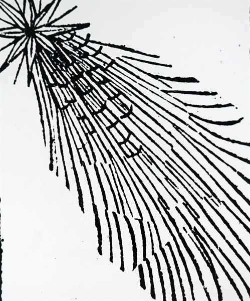 A bright comet flying over Europe during the 14th Century