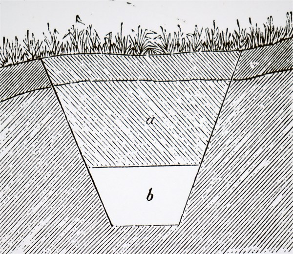 A drain covered in grass