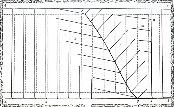 A ground plan for drainage of a field