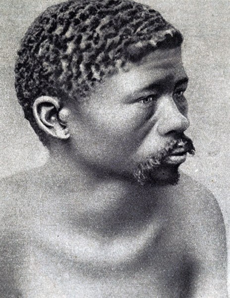 A bushman of South Africa