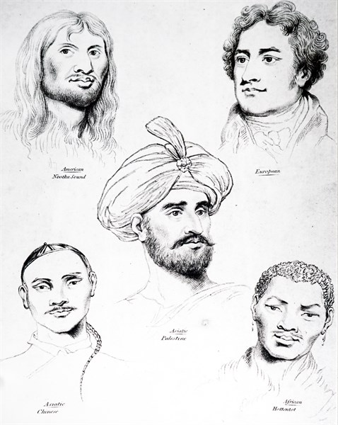 Profiles of different racial types