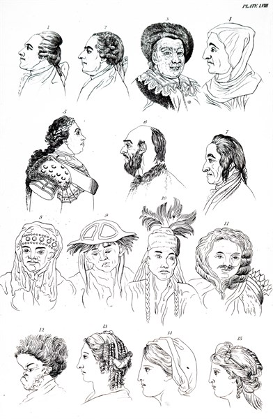 Profiles of different racial types
