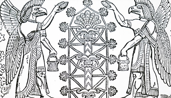 The Assyrian God Nisroch, the God of Agriculture