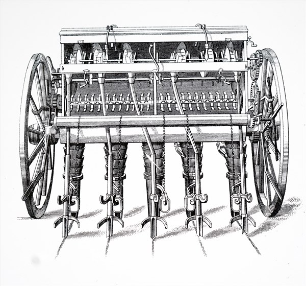 Moodie'S turnip drill