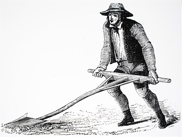 A farmer using a mollebart, or a levelling spade