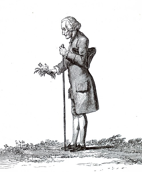 Portrait of Jean-Jacques Rousseau