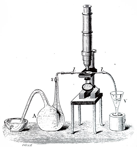 Engraving depicting Louis Pasteur's first apparatus for cooling and fermenting wort during his work on beer
