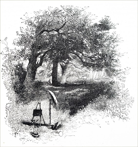 An artists easel and chair in the middle of a wooded area