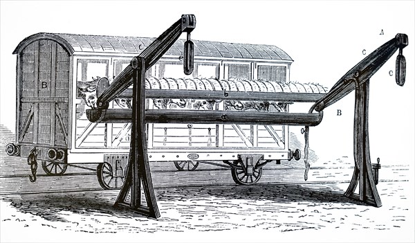 An closed cattle truck at a feeding and watering halt