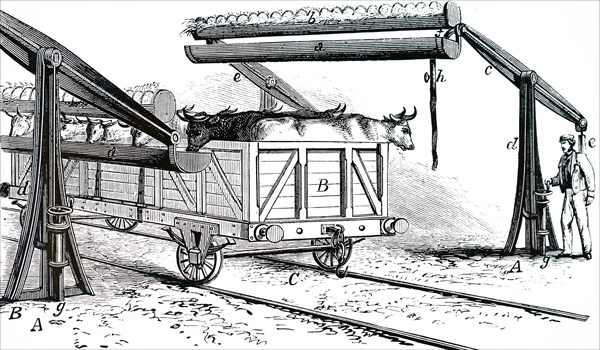 The apparatus for watering cattle during rail transit without removing them from the their trucks