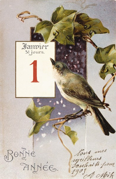 French Happy New Year, postcard depicting a bird on a branch, circa 1900