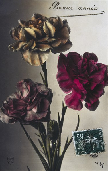 French Happy New Year, postcard with flowers