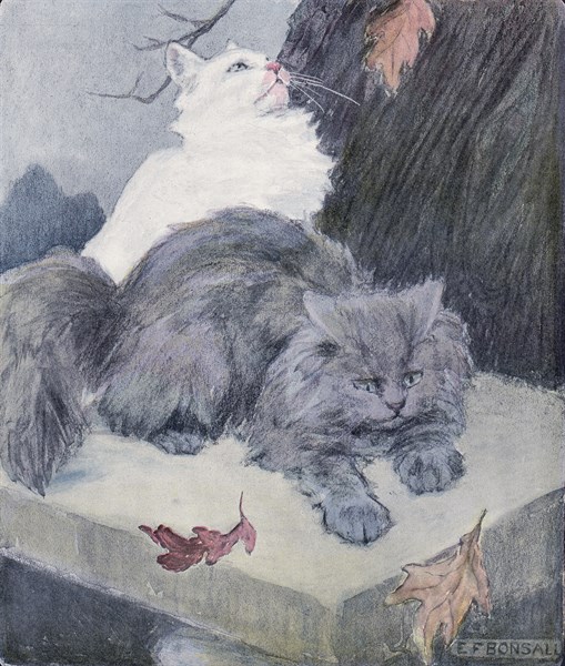 The book of the cat with facsimiles of drawings in colour. By Elisabeth Fearne Bonsall