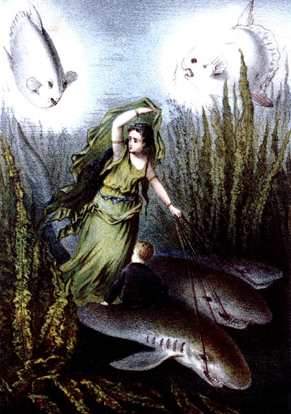 Voyage au fond de la mer