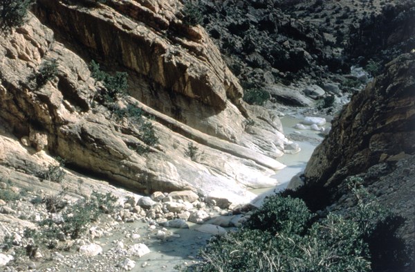 Algeria, the Aures region, gorges of Tighanimine