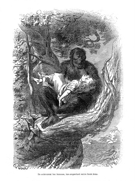 Propos d'art et de cuisine: 'Les gorilles'