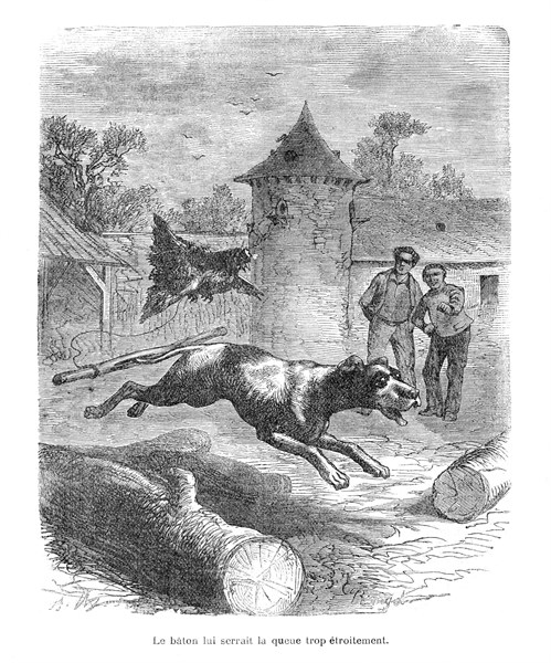 Dumas, 'Histoire de mes bêtes'
