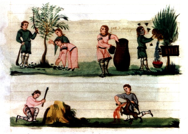 History of Alexandre d'Oppien, Farming activities