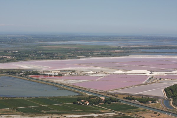 Les Salins du Midi